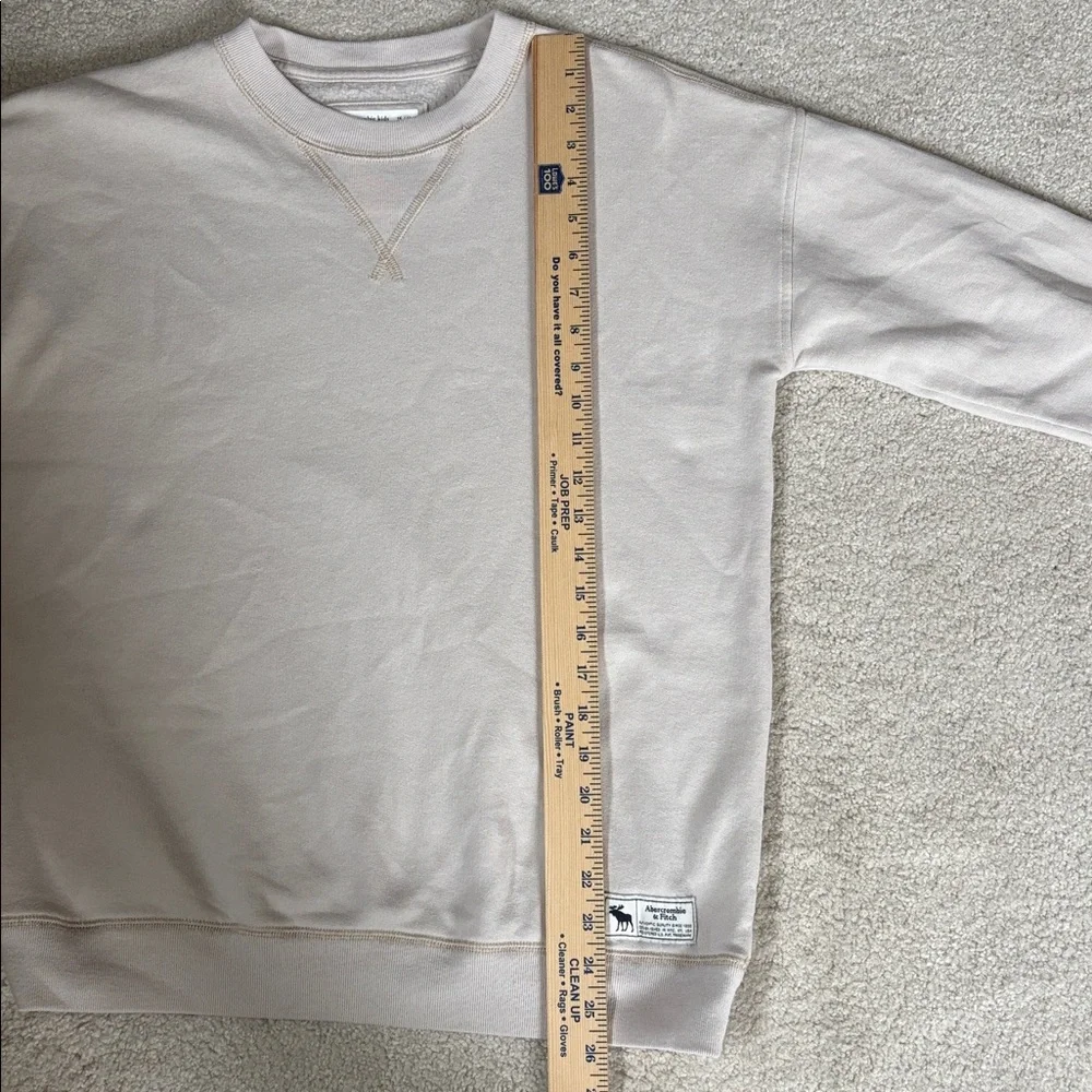 Abercrombie & Fitch Tan Crewneck Pullover Sweatshirt Kids Relaxed Fit Size 15/16